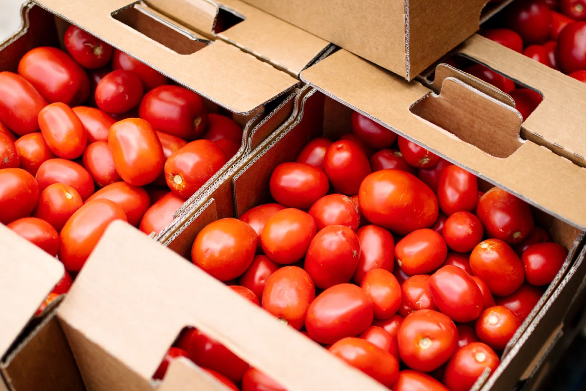 What's in Season? Tomatoes... & Passata Day