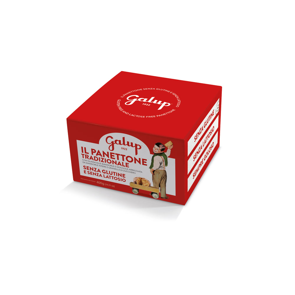 Galup Panettone Gluten Free