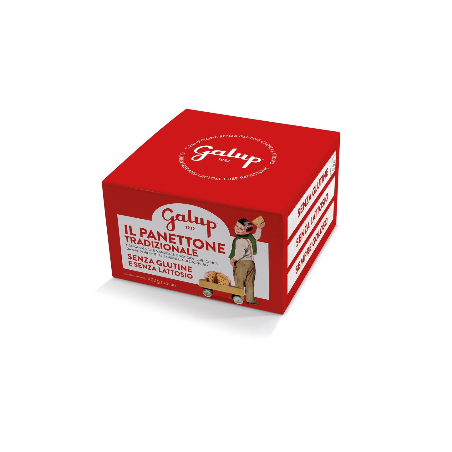 Galup Panettone Gluten Free