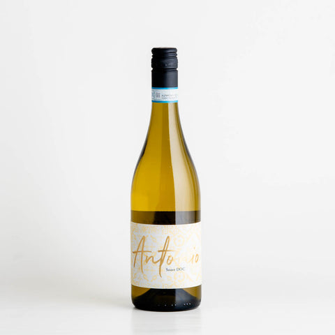 Antonio Soave 2024