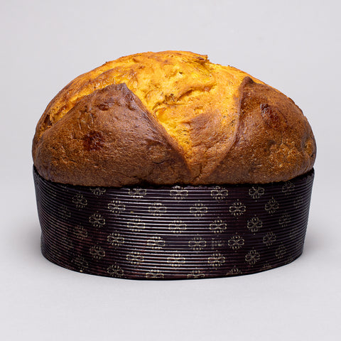 Olivieri Panettone Apricot and Salted Caramel