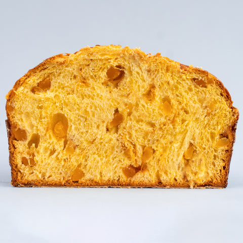 Olivieri Panettone Apricot and Salted Caramel