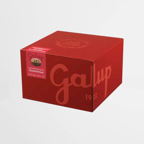 Galup Panettone