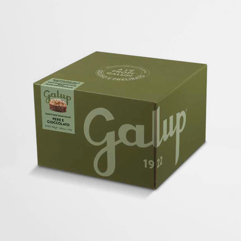 Galup Panettone Pear and Chocolate