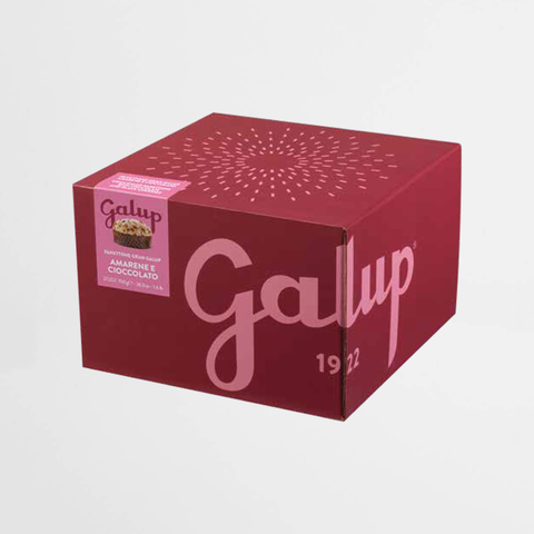 Galup Panettone Cherry and Chocolate