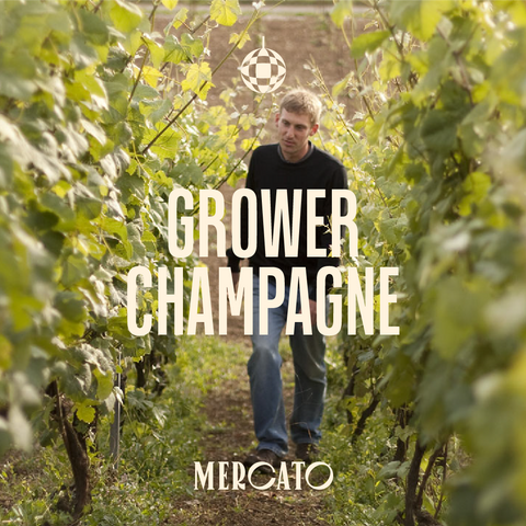  Grower Champagne Masterclass 5:00pm (Wednesday 4th November)