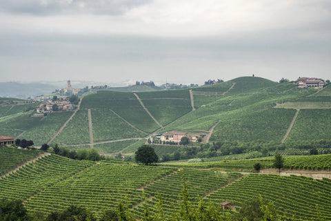 A scenic landscape of the Bera Winery featuring rolling green hills covered in vineyard rows under a cloudy sky, with small buildings and a large tower visible in the distance.