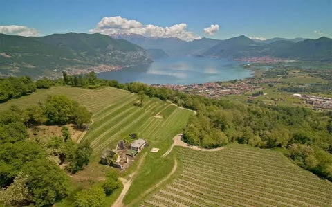 Aerial view of the Ca'del Bosco Winery field. It features a scenic mountain landscape with vineyard terraces, a lake, and a small town in the valley under a blue sky with white clouds.