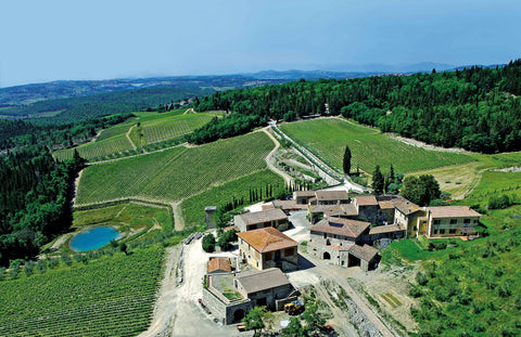 Aerial view of a rural estate with buildings and vineyards at the Isole e Olena Winery. The scenery is bright and folliage surrounds the land. A lake can be seen on the left.