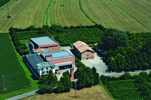 A birds eye view of the Lini 910 Winery. Large buildings are positioned roughly in the middle of the scene while surrounded by vineyards and large patches of grasslands. 