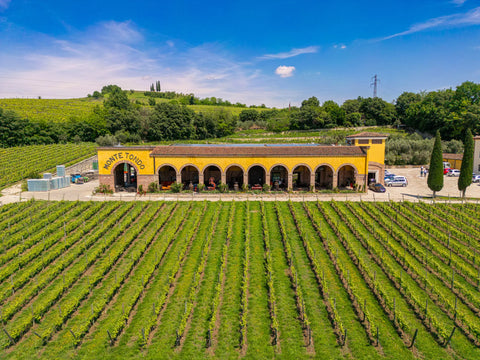 A landscape view of the Monte Tondo Winery building. It is rectangular and yellow in colour, and is positioned in front of a large vineyard surrounded by grass. Shubbery can be seen behind the large building. 