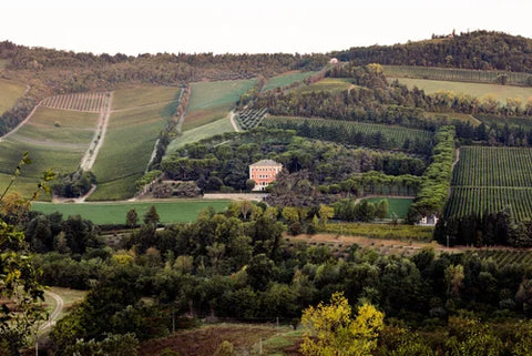 A birds eye view of the Pandolfa Winery. A large building is surrounded by sections of land featuring trees, vineyards and other folliage.