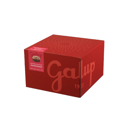 Galup Colourfully Panettone