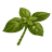 Mediterranean Herbs
