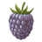 Blackberry