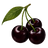 Black Cherry