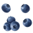 Blueberry