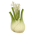 Fennel