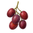 Fresh Grape
