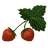 Wild Strawberry